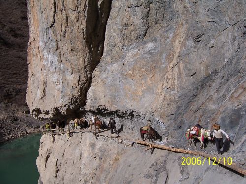 填平城乡数字鸿沟，中国移动书写扶贫答卷