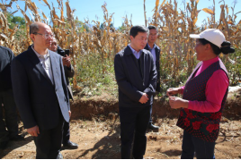 尽锐出战 多措并举 四川电信用企业优势凝聚脱贫胜势