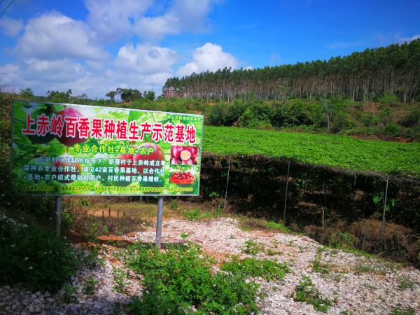 佛山联通：产业扶持助新屋村旧貌换新颜