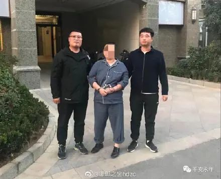 天天十二条丨男子诈骗49万余元在邯郸落网