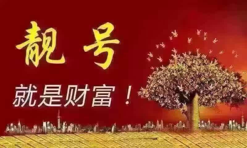 属猪用什么手机号码好