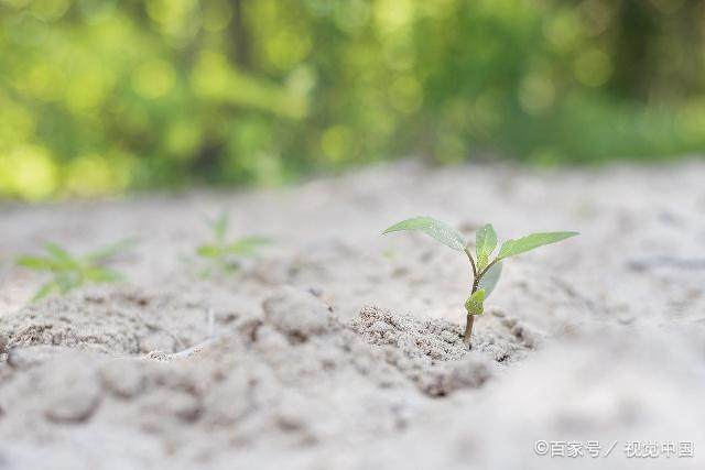 鸿程大道：怎样选择适合你的手机号码？你的号码选对了吗？一起来看看吧！