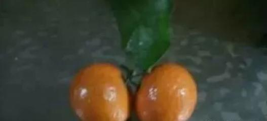 数字能量：手机号数字真的有吉凶吗？你的号码是吉是凶？你相信吗？