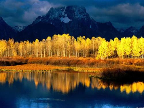 手机号停用应注意的事项,你都了解吗?