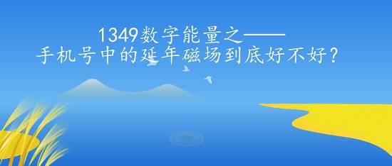 1349数字能量之——手机号中的延年磁场到底好不好?