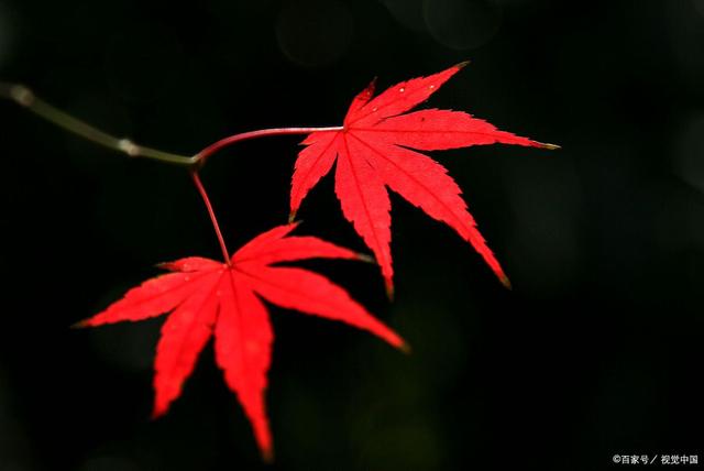 荒唐的手机号码起卦法,当心别被神棍忽悠了,你“中招”了吗?