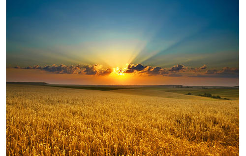 临沂市民33万购买手机靓号成空号？ 普泰移动这样回应，一探究竟！