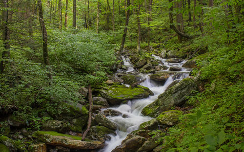 接到陌生来电账号被注册，我办了个带“嫁妆”的手机号，竟是二手货！