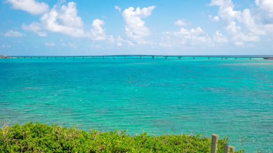 气愤！手机副卡被小贩收购后竟涉嫌诈骗 连累主卡停机