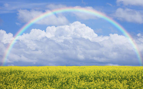 用户自选靓号还能定制专属号码,方便又快捷!