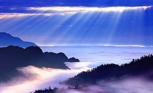 南方日报：靓号携号转网考验运营商诚意，你怎么选择？