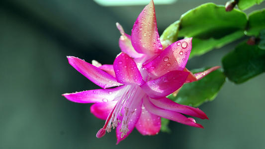 河南郸城：手机靓号将被拍 被执行人忙还款，靓号的作用！