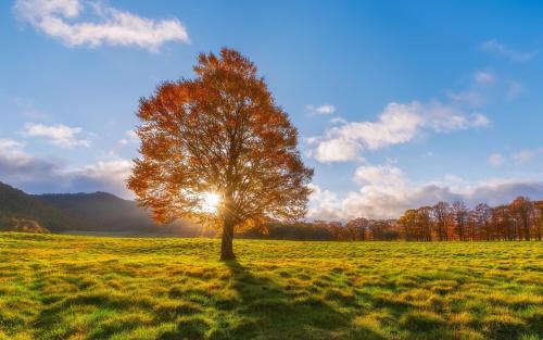 靓号衍生暴利生意：一个号码叫价7万 需消费19万，合理吗？