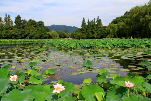 手机号码很重要,选对了,一帆风顺,事业昌隆,添丁发财!快去测试一下吧!
