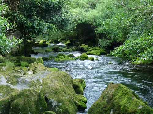 中国联通推出5G新套餐：最低仅需58.5元，是福利还是套路？你在用吗？