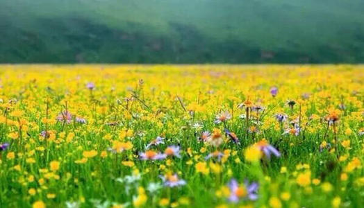 速看！手机“靓号”买卖藏风险：代理商层层加价，用户信息或被泄露