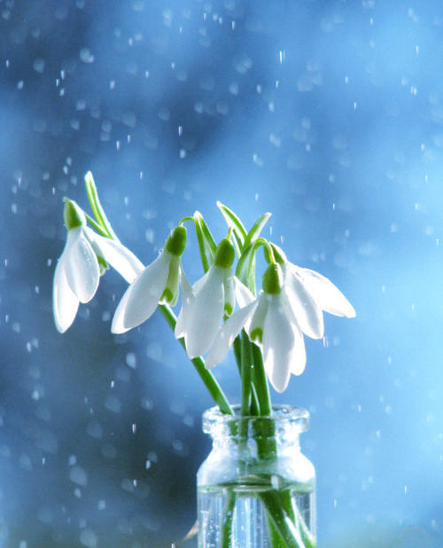 400电话是什么电话？有什么实用？办理400电话有条件么？