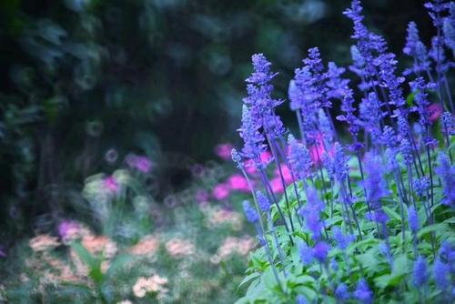 北京市全国一手手机号码靓号，定制你的专属号码！