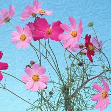 企业选择使用400电话有哪些明显的特点？一起来看看！