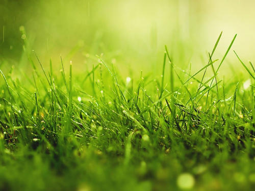 400电话要多少钱一年,具体来分析一下!