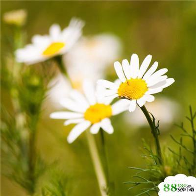 广电焕新宽带翻倍提速，你想办理吗？