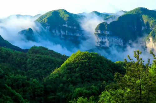 为专注5G发展 联通最快明年底实现2G全面退网，你用5G了吗？