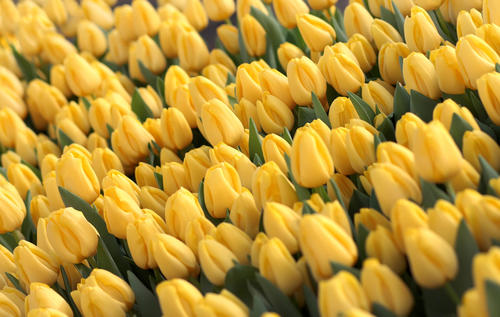 江西：今年底千兆光纤网络可覆盖960万户家庭，增加千兆宽带用户数！