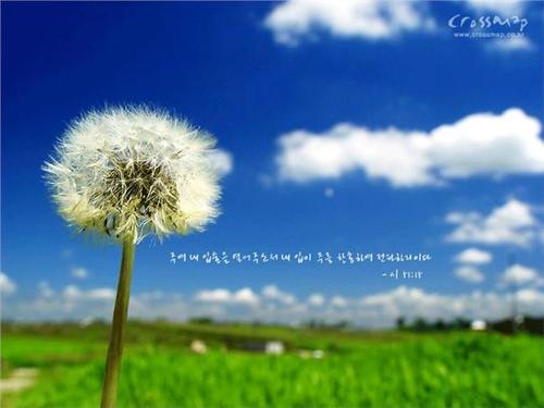 目前最强的电视盒子：居家必备的电视机顶盒有哪些？你用的是什么？