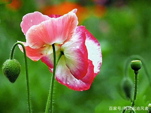 5G套餐该怎么选？手把手教你提速降费赢权益，你选对了吗？