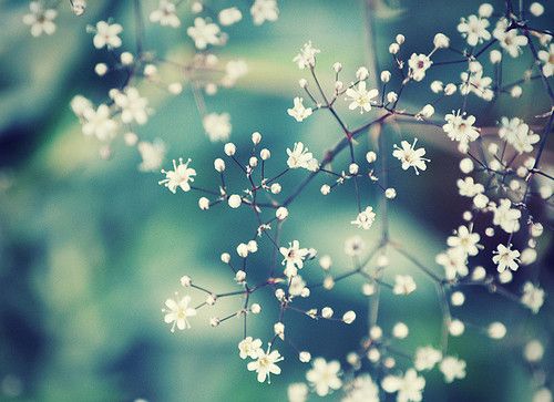 不激活5G卡就暂停宽带服务 用户投诉北京联通，你觉得合理吗？