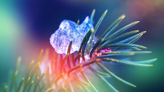 4818元大甩卖！7位数的QQ AAA豹子靓号开卖，你觉得值吗？