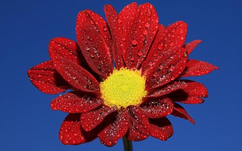 为什么提倡400电话办理？400电话办理的操作流程是什么？一一为你解答！