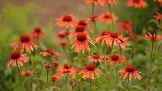 湖北400电话办理找谁家，需要找到正规平台！