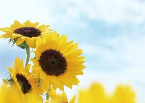 弃用手机号不解绑：不知不觉，钱没了！一定要注意！