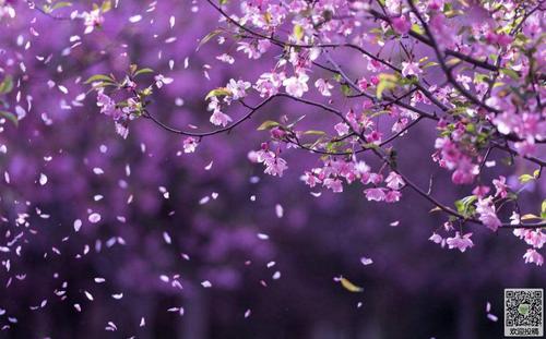 请看!携号转网后手机号变空号 66岁云女士无奈求助媒体