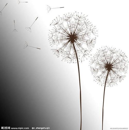 给力！5G和宽带网络能力领跑全国 南京成为首座“双千兆”省会城市