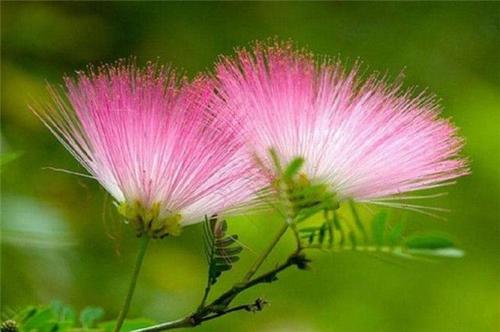 国际长途多少钱—分钟 每个国家标准不同，一起来了解一下！