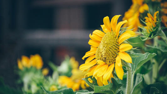 联通无线上网卡资费 更多流量包任您选择，快来看看吧！