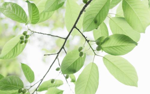 电信账单明细怎么查询 网上办理方便快捷，来学习一下吧！