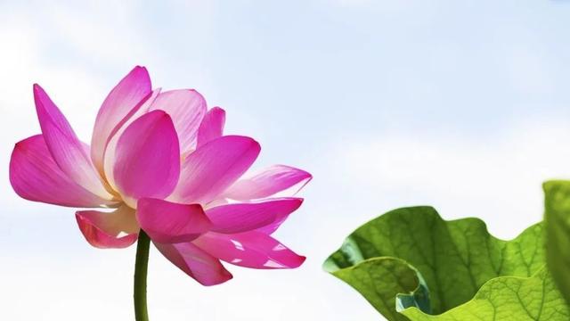 拥有转运手机号码,你的未来不再彷徨!你怎么看?