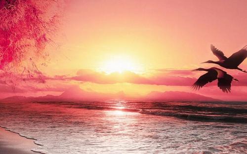 如今400电话办理的意义有哪些？来看客观分析，你的企业办理过400电话吗？