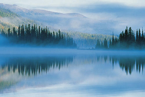 选择400电话具有什么样的好处？来了解一下！