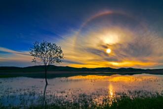 什么样的手机号码最好,一起来看吧!