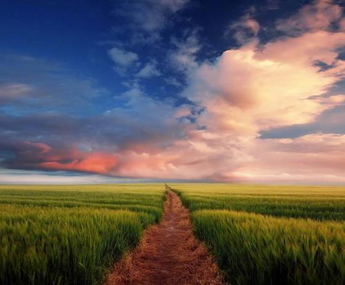 谨记!手机停用未解绑定 他人盗刷触犯刑律