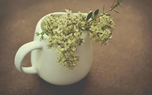 一分钟了解！400电话办理面对的主要服务对象有哪些？