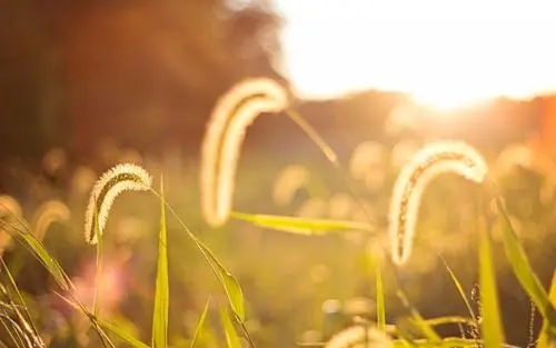 申请400电话需要准备哪些证件?要牢记!