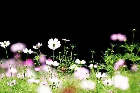 如何选购移动物联网卡小技巧,以下四点需要注意!