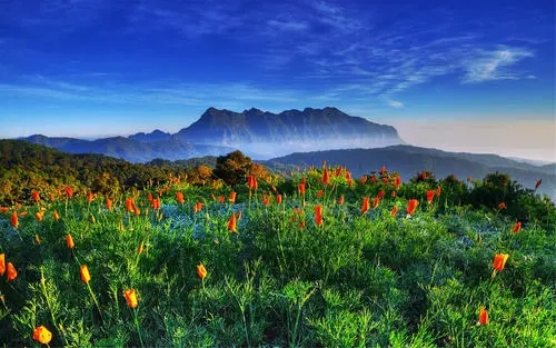 132开头的是什么号码？132是移动还是联通的卡?你知道吗？