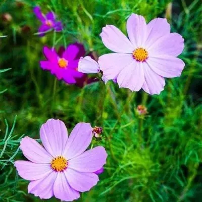 通过手机号查姓名，一定要小心！