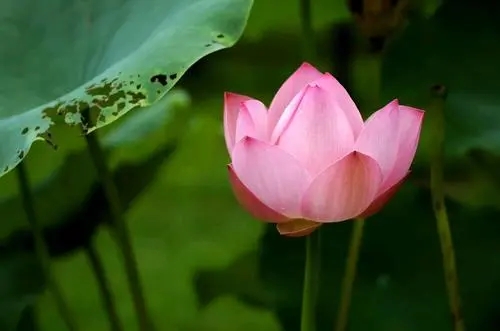 一分钟了解！联通营业厅注销大王卡的具体操作方法